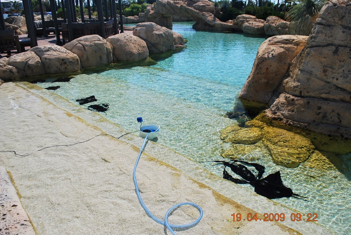 imagini hotel MARDAN PALACE